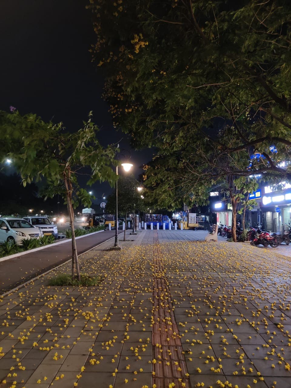 Saheed Nagar or Japan